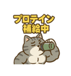 マッチョなねこ vol.1（個別スタンプ：5）