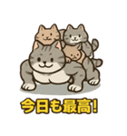 マッチョなねこ vol.1（個別スタンプ：8）