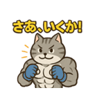 マッチョなねこ vol.1（個別スタンプ：9）