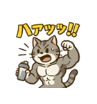 マッチョなねこ vol.1（個別スタンプ：11）