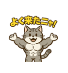 マッチョなねこ vol.1（個別スタンプ：12）