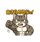 マッチョなねこ vol.1（個別スタンプ：13）