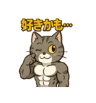 マッチョなねこ vol.1（個別スタンプ：15）