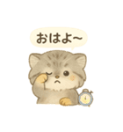 やさしい野生のともだち 毎日スタンプ（個別スタンプ：1）