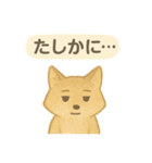 やさしい野生のともだち 毎日スタンプ（個別スタンプ：13）