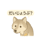 やさしい野生のともだち 毎日スタンプ（個別スタンプ：19）