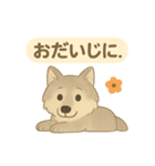 やさしい野生のともだち 毎日スタンプ（個別スタンプ：21）