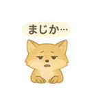 やさしい野生のともだち 毎日スタンプ（個別スタンプ：25）