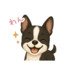わんで伝えるボストンテリア JP（個別スタンプ：11）