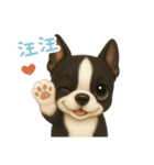 わんで伝えるボストンテリア TW（個別スタンプ：9）