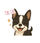 わんで伝えるボストンテリア TW（個別スタンプ：11）