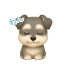 わんで伝えるミニチュアシュナウザー JP（個別スタンプ：3）