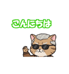 シンプルオジ猫スタンプ（個別スタンプ：2）