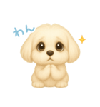 わんで伝えるマルチーズ JP（個別スタンプ：15）