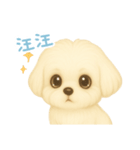 わんで伝えるマルチーズ TW（個別スタンプ：3）