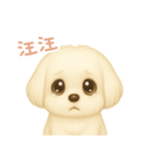 わんで伝えるマルチーズ TW（個別スタンプ：7）