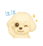 わんで伝えるマルチーズ TW（個別スタンプ：9）