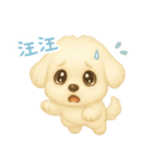 わんで伝えるマルチーズ TW（個別スタンプ：12）