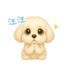 わんで伝えるマルチーズ TW（個別スタンプ：15）