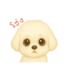 わんで伝えるマルチーズ TH（個別スタンプ：1）