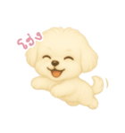 わんで伝えるマルチーズ TH（個別スタンプ：2）