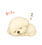わんで伝えるビションフリーゼ JP（個別スタンプ：4）