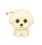 わんで伝えるビションフリーゼ JP（個別スタンプ：7）