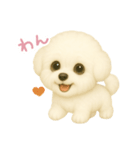 わんで伝えるビションフリーゼ JP（個別スタンプ：8）