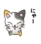 猫のスタンプ その19（個別スタンプ：1）