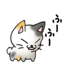 猫のスタンプ その19（個別スタンプ：5）