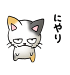 猫のスタンプ その19（個別スタンプ：11）
