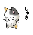 猫のスタンプ その19（個別スタンプ：17）