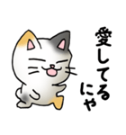 猫のスタンプ その19（個別スタンプ：19）