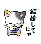 猫のスタンプ その19（個別スタンプ：20）