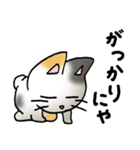 猫のスタンプ その19（個別スタンプ：24）