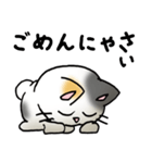 猫のスタンプ その19（個別スタンプ：25）