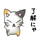 猫のスタンプ その19（個別スタンプ：27）
