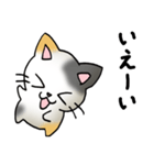 猫のスタンプ その19（個別スタンプ：33）