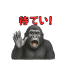 gorigoriのゴリラスタンプ2（個別スタンプ：2）