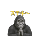 gorigoriのゴリラスタンプ2（個別スタンプ：3）