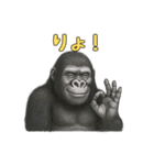 gorigoriのゴリラスタンプ2（個別スタンプ：14）