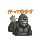 gorigoriのゴリラスタンプ2（個別スタンプ：15）