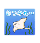 1年中使える♪海の生き物の優しい毎日（個別スタンプ：10）