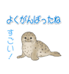 1年中使える♪海の生き物の優しい毎日（個別スタンプ：19）