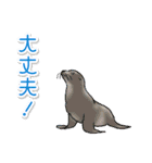 1年中使える♪海の生き物の優しい毎日（個別スタンプ：22）