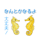 1年中使える♪海の生き物の優しい毎日（個別スタンプ：24）