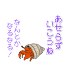 1年中使える♪海の生き物の優しい毎日（個別スタンプ：25）