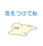 1年中使える♪海の生き物の優しい毎日（個別スタンプ：28）