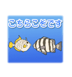 1年中使える♪海の生き物の優しい毎日（個別スタンプ：29）