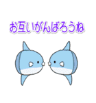 1年中使える♪海の生き物の優しい毎日（個別スタンプ：30）
